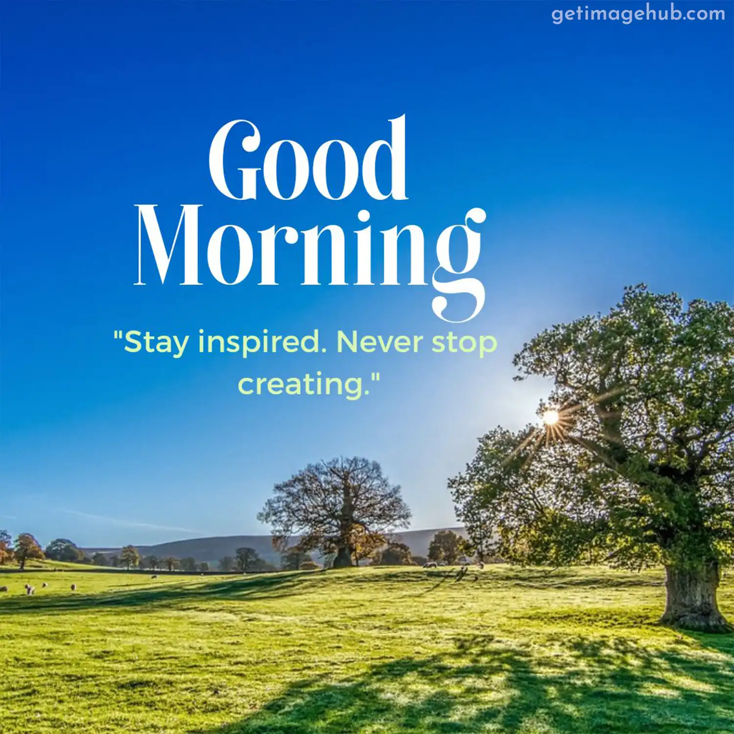 Good morning images with positive quotes