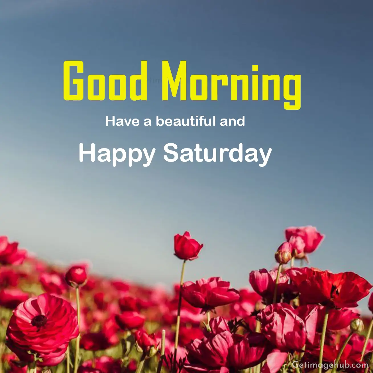 Good morning saturday pictures hd