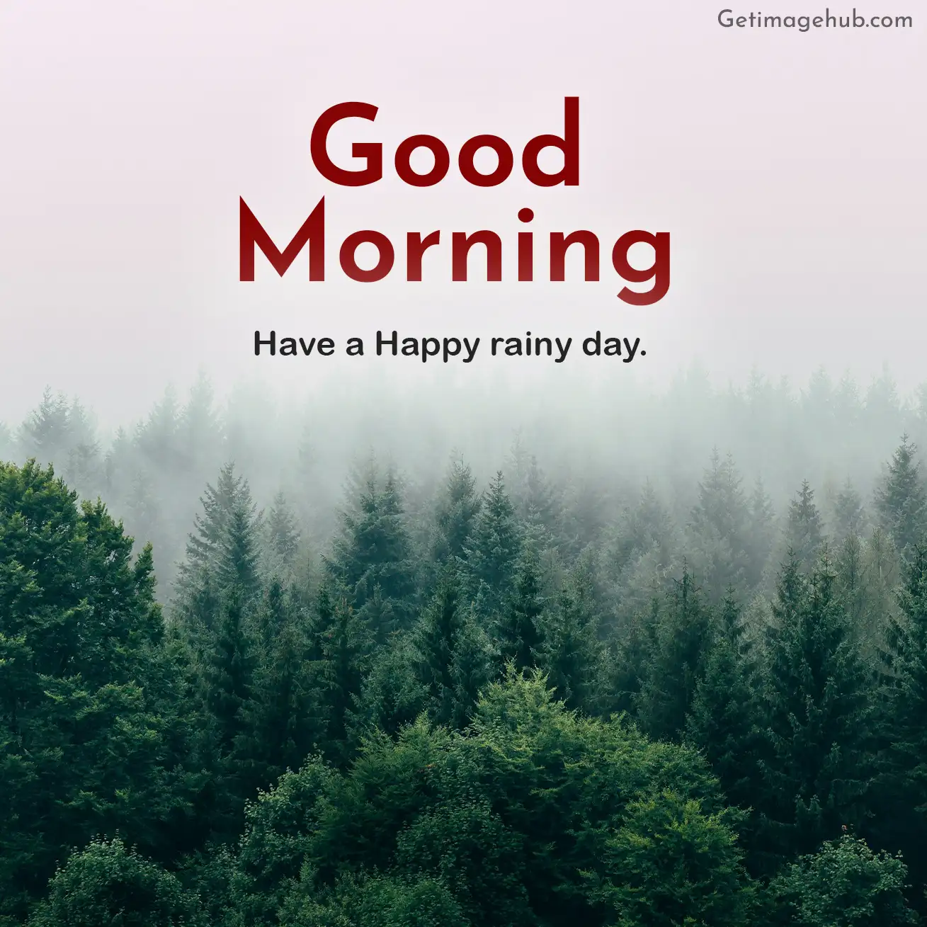 New good morning rainy pictures