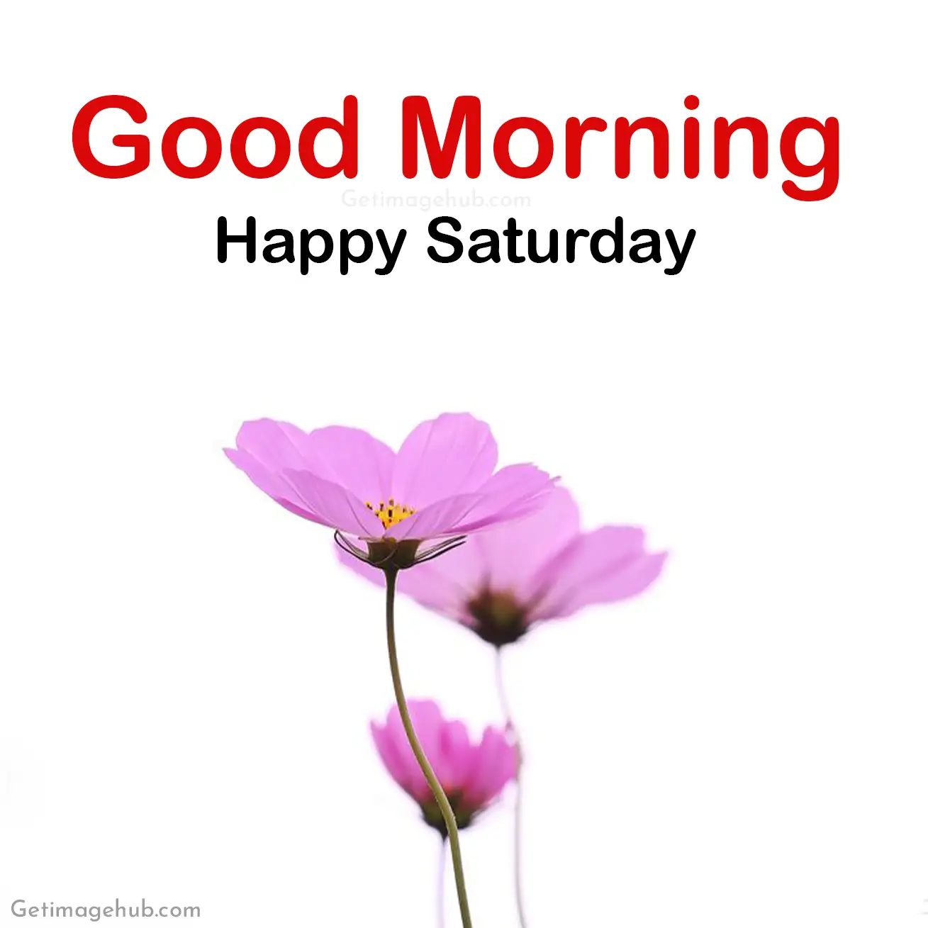 New good morning saturday images