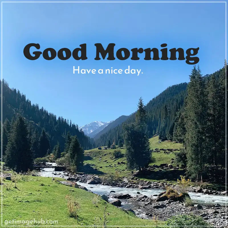 Best Good Morning Nature Images