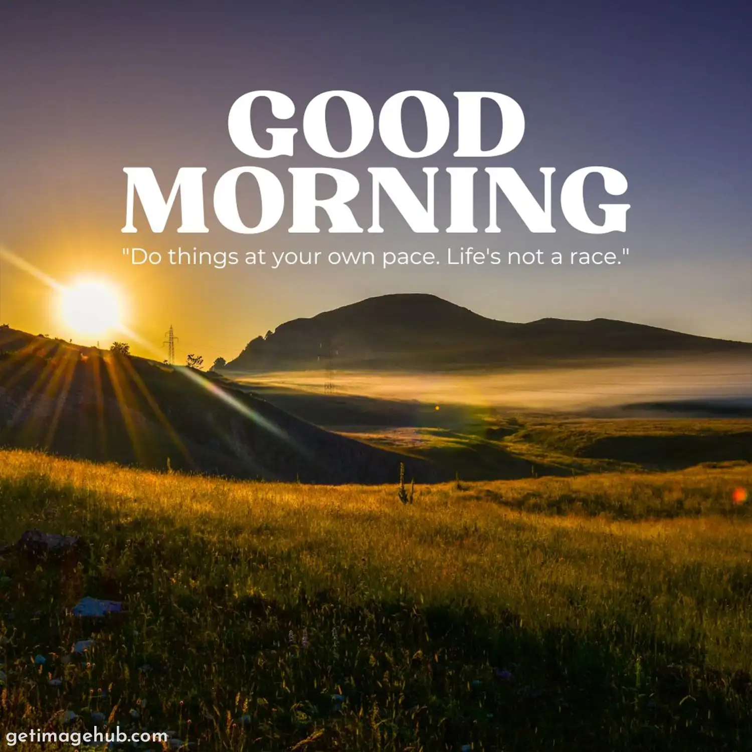 Best Good Morning Nature Images