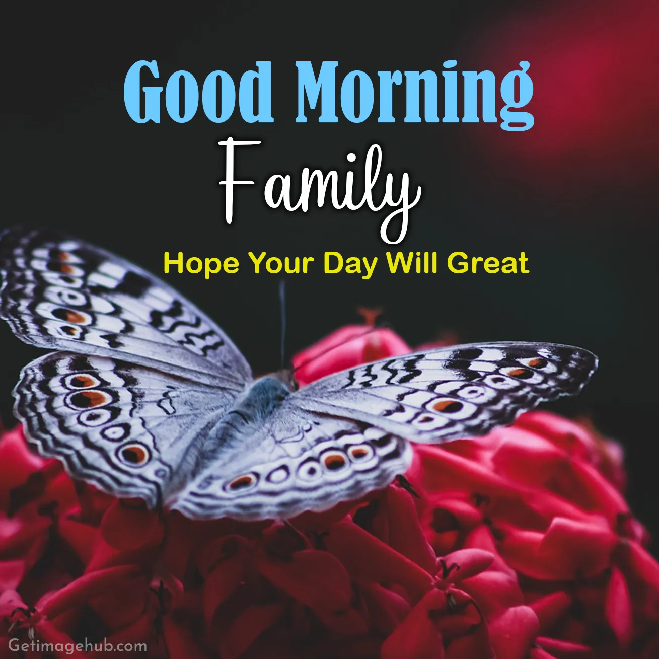 Good morning, family pictures HD