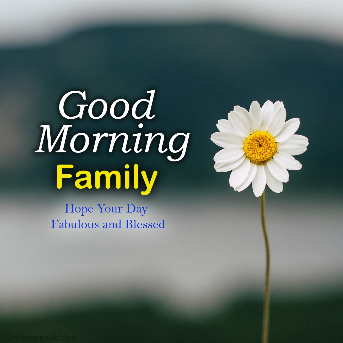 Good Morning Family Images: Wish Your Family in The Morning