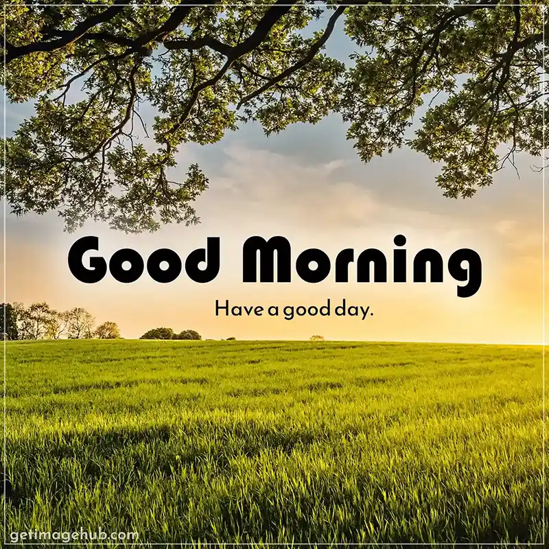 Good Morning Nature Images for Free Download