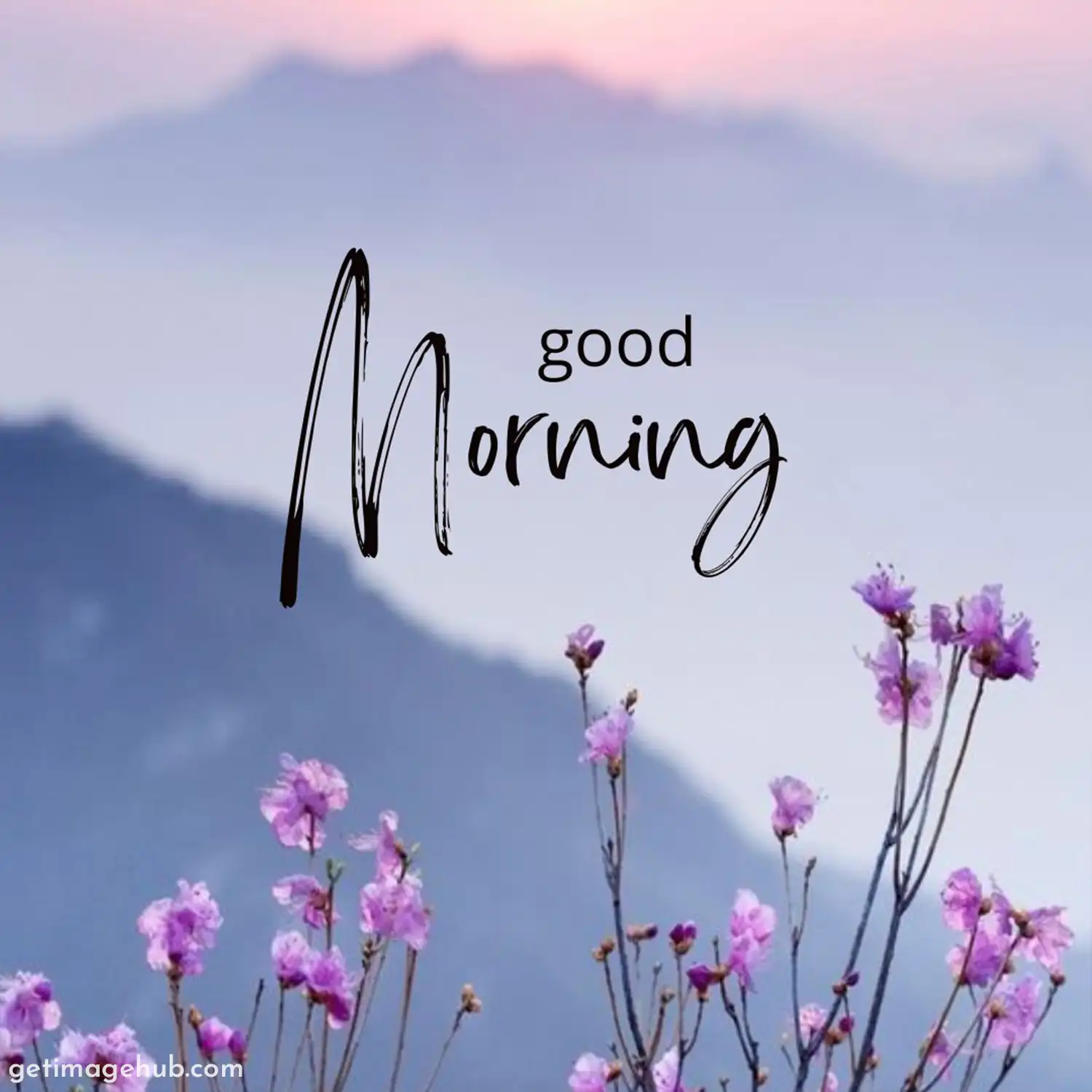 Good Morning Nature Images HD