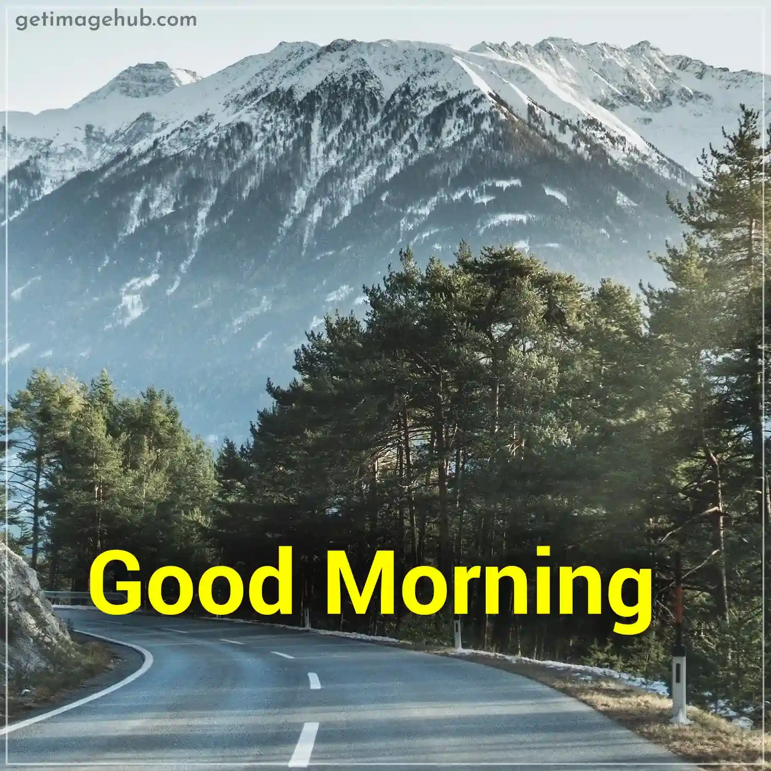 good morning nature images