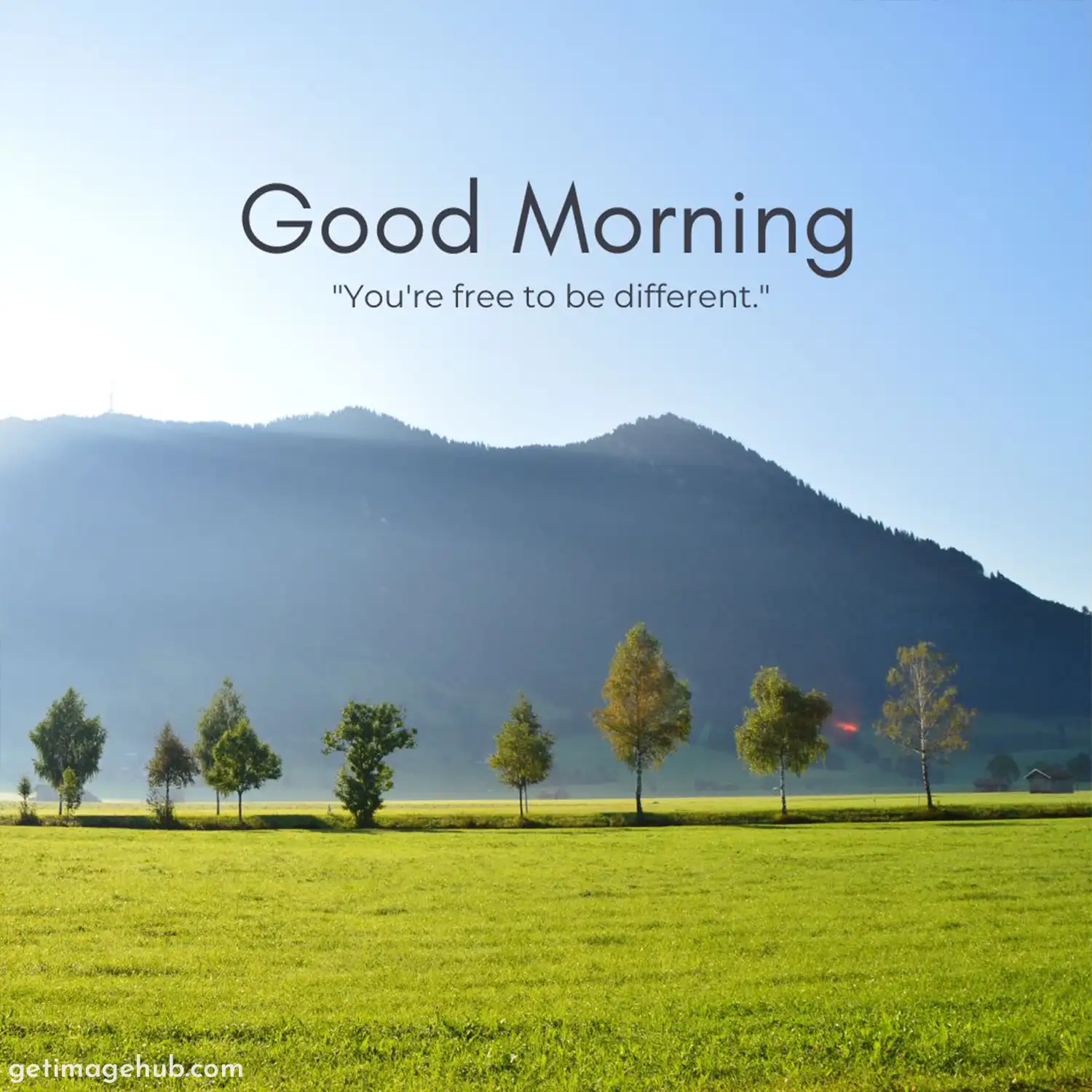 good morning nature pictures