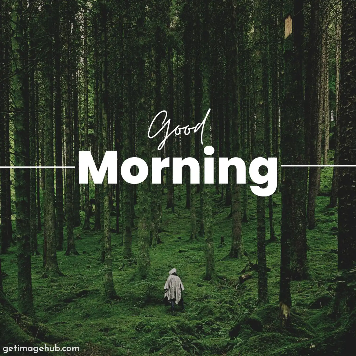 good morning nature pictures