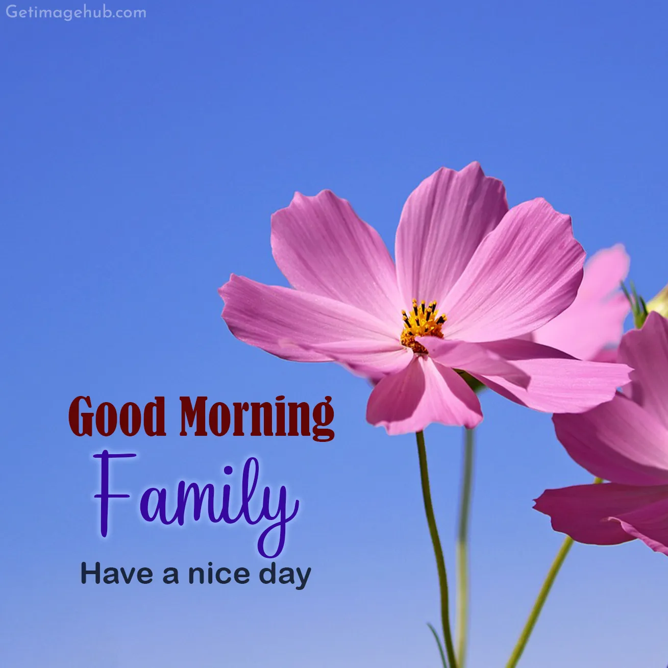 New Good Morning Family Images